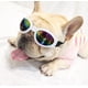 thumbnail image 3 of Lentes Uv Sol Nieve Para Mascotas Azul, 3 of 3