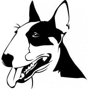 Rienda Libre Graphics - Decomural Bull Terrier Dog Pets Animals Ws-17594
