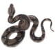 thumbnail image 2 of Figura De Juguete De Modelo Animal De Simulación, Figura Decorativa Para El Hogar, Boa Constrictor, 2 of 5