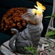 thumbnail image 4 of Figuras de jardín Gardenfans Cat Solar para exteriores con luces LED, 4 of 9