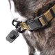 thumbnail image 3 of Collar Magnético de Enganche Rápido HOOZA Grande - Color Arena, 3 of 7