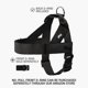 thumbnail image 2 of Arnés para perro Dog Friendly Co – Talla Grande, Azul Marino, Ajustable, 2 of 8