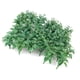 thumbnail image 4 of 50pcs Paisaje Verde Paisaje Modelo De Hojas Trituradas 1:50 Kit De Piezas De Montaje, 4 of 5