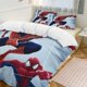 thumbnail image 2 of Spider-Man Comforter Set for Kids Boys Teen Men Tween 3D Lightweight Microfiber Bedding Sets, 2 of 4
