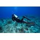 thumbnail image 2 of Máscara de buceo SCUBAPRO Frameless negra, 2 of 3