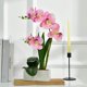 thumbnail image 3 of Orquídea FuleHouzz 39 cm Rosa con Jarrón de Cerámica, 3 of 6