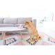 thumbnail image 3 of Juguete de peluche para perros Outward Hound Fattiez Pig, pequeño, 3 of 4