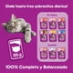 thumbnail image 3 of Alimento Húmedo Gatito Sabor Carne Pouch, 85 g, 3 of 7