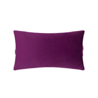 Genérico - Pack De 2 Fundas Terciopelo Liso 30X50 Cm Morado