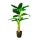 thumbnail image 1 of Planta Artificial Banano 180 cm. / 14 hojas Premium., 1 of 3