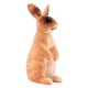 thumbnail image 5 of Estatuilla De Conejo Realista Zoo Modelo De Animales De Granja Juguetes De Ense?anza Decoración De Mesa Marrón De Pie, 5 of 5