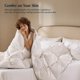 thumbnail image 3 of Pacific Coast Goose Feather Down Comforters King Size 106x90, 3 of 3
