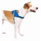 thumbnail image 2 of Arnés Zee Dog Fly Slam Dunk tam/4 Blue Slam Dunk M Chest Azul, 2 of 3