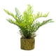 thumbnail image 1 of Planta Artificial Helecho En Macetero Rustico 36 Cm, 1 of 2