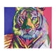 thumbnail image 4 of 5d pintura de diamante tigre colorido fotos pintura taladro especial parcial, 4 of 5