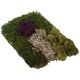 thumbnail image 3 of Bolsa Moss Mix SuperMoss 23310 Best Sellers de 50 ml, 3 of 3