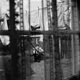 thumbnail image 1 of LP de Capitol Music Group – Chaos and Creation in the Backyard, 1 of 2