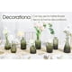 thumbnail image 3 of Set de jarrones de cristal TBWIND Green, 12 unidades, para flores, 3 of 6