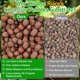 thumbnail image 5 of Bolas de arcilla Riare 907 g – Sustrato para reptiles y terrarios, 5 of 7