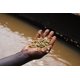 thumbnail image 5 of Café Onyx Coffee Lab Monarch Granos Enteros 283 g, 5 of 5