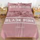 thumbnail image 1 of Blackpink Practical Zipper Closure Soft Texture Long Use Comfort Thread Fabric Duvet Cover Sets Sleep, 1 of 3
