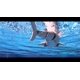 thumbnail image 2 of Control remoto Roboshark Jupiter Creations a prueba de agua, 2 of 6