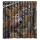 thumbnail image 1 of Cortina de ducha de baño Realtree Wild Deer Forest con ganchos, tamaño 66 x 72 pulgadas, 1 of 3