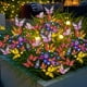 thumbnail image 3 of Set 2 Luces Solares Jardin Decorativas Mariposas Multicolor, 3 of 7