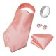 thumbnail image 2 of Corbatas Seda Ascot Pañuelo + Anillo Plateado Paño Colleras rosa Talla Única, 2 of 6