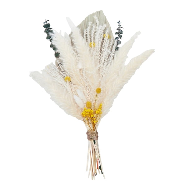 Hierba de pampa seca, flores secas para arreglos de racimos, decoración para hogar, decoración de , hogar, dormitorio, sala de , escritorio,