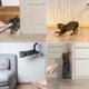 thumbnail image 2 of Juguete Recargable Para Gatos Con 3 Modos De Luz Y 5 Divertidos Patrones, 2 of 7