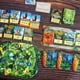 thumbnail image 3 of Juego de mesa Canopy Evergreen de Weird City Games: estrategia, 3 of 9