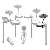 Set De Batería Expansion Alesis Nitro Max Con Mesh Tom Pad Y 10 Platillos