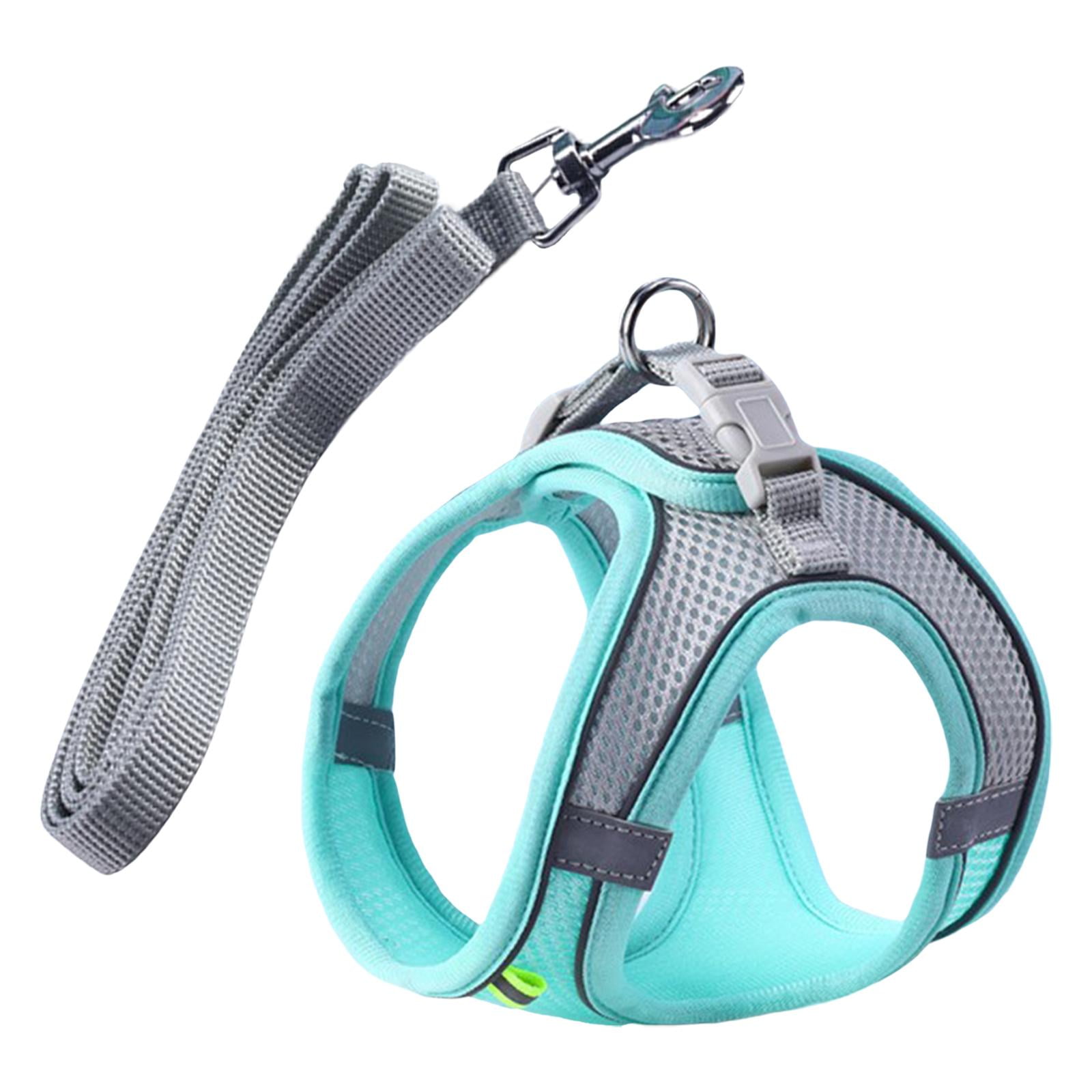 Ioensy - Arnés Para Perros Con Correa Para Perros Pequeños, Medianos Y Grandes, Caminatas Nocturnas Al Aire Libre