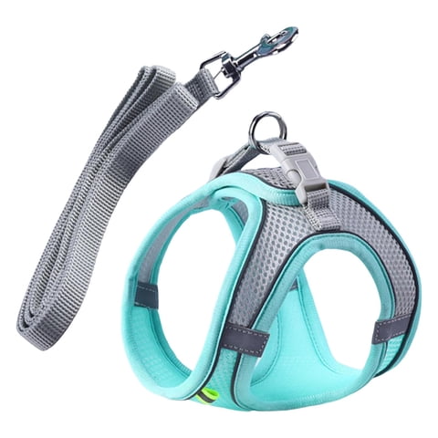 Ioensy - Arnés Para Perros Con Correa Para Perros Pequeños, Medianos Y Grandes, Caminatas Nocturnas Al Aire Libre