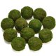 thumbnail image 1 of Bola de musgo decorativa BYHER Natural Green Moss (9 cm), juego de 6, 1 of 7