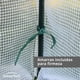 thumbnail image 4 of Invernadero Doméstico Vertical Doble SunnyYard 1 un, 4 of 9
