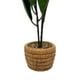 thumbnail image 5 of Planta Artificial Macetero De Cemento Naranjo Hojas Verdes blanco, 5 of 7