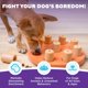 thumbnail image 2 of Juguete para enriquecer el rompecabezas Dog Smart Treat Outward Hound, nivel 1, 2 of 8