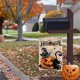 thumbnail image 5 of Bandera de jardín de Halloween de Teacenity de 30 x 45 cm, diseño de calabazas y gatos de bienvenida, de doble cara, calabazas de arpillera para jardín, decoración de temporada para exteriores., 5 of 7