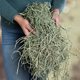 thumbnail image 2 of Hay Small Pet Select Timothy 2nd Cutting, 9,07 kg, para conejos, 2 of 8