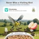 thumbnail image 3 of Alimentador de pájaros birdsnap 2K HD Solar con tarjeta de 32 GB, 3 of 9