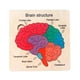 thumbnail image 1 of Rompecabezas De Madera Para El Cerebro, Rompecabezas De Estructura Cerebral Para Bebés, Niñas Y Niños De 3, 4, 5 Y 6 Años, 1 of 5