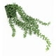 thumbnail image 2 of Planta suculenta colgante artificial 78 cm, 2 of 3