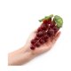 thumbnail image 3 of Uvas artificiales rojas caiyjhao - 2 piezas (24 unidades), 3 of 6