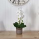 thumbnail image 5 of Planta artificial de orquídea Phalaenopsis casi natural con maceta de cerámica, 5 of 7
