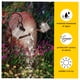 thumbnail image 3 of Regadera Solar Hueca Agua Led Impermeable NAVIDAD, 3 of 3