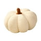 thumbnail image 1 of Cojín Calabaza Blanco 28cm, 1 of 3