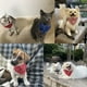 thumbnail image 2 of Stylish & Comfy Dog Bandanas - Reversible & Adjustable for the Perfect Fit!, 2 of 3