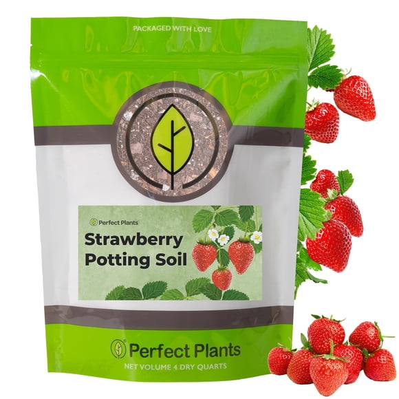 Sustrato para macetas PERFECT PLANTS 3,8 L Mezcla de fresa